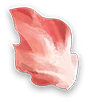 炎狼燦羽 M Icon.png